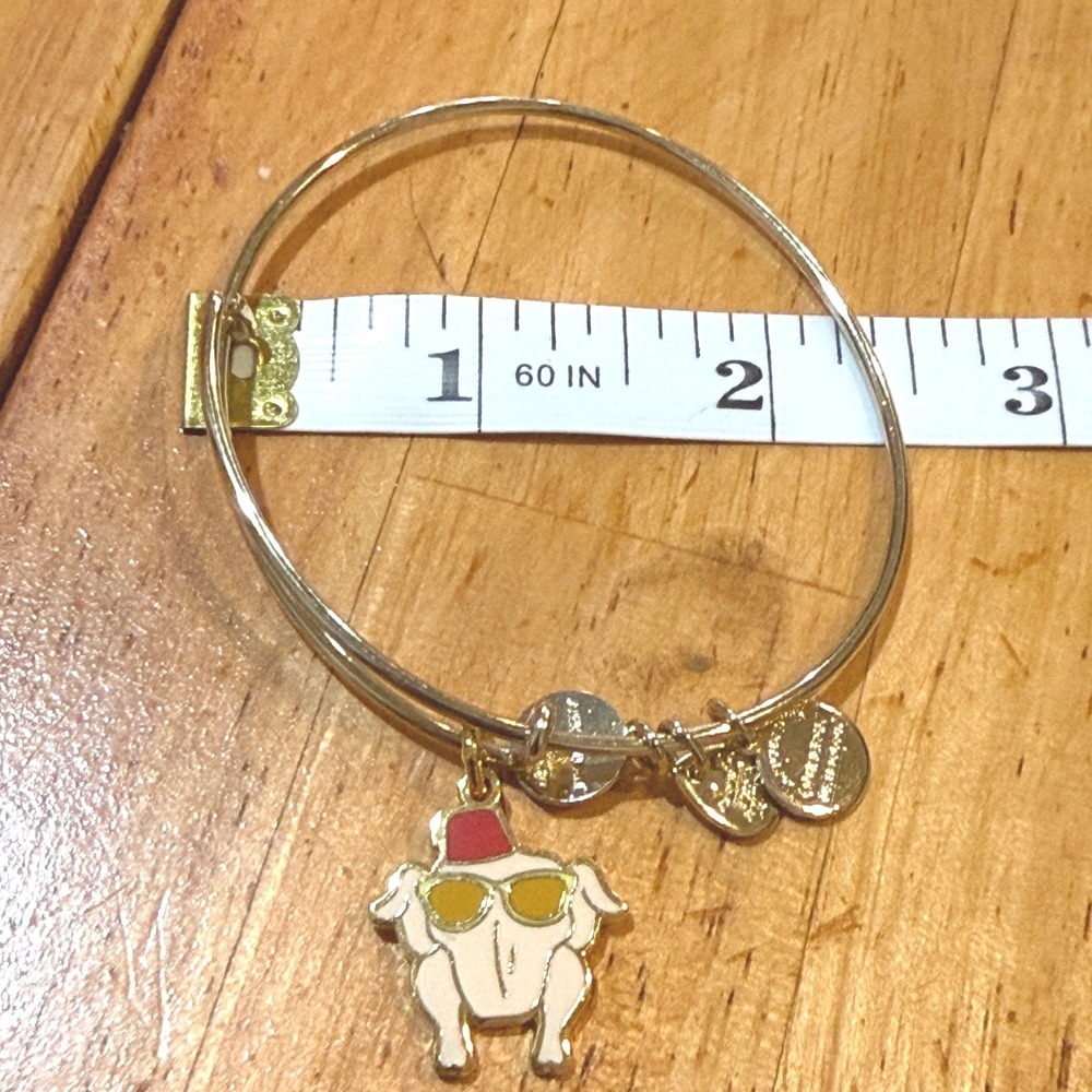 Alex and Ani FRIENDS Thanksgiving Turkey Bangle Bracelet Gold Tone Expandable